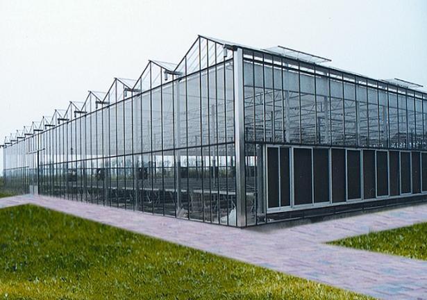 纹洛式温室大棚*金农温室工程-纹络式大棚建造