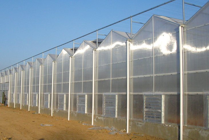 阳光板温室大棚-优质阳光板温室选良正温室