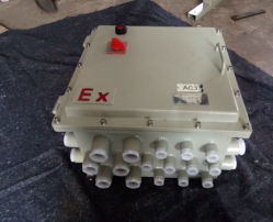 BXM8061防爆防腐照明配电箱 BXD8061-T不锈钢防爆动力配电箱
