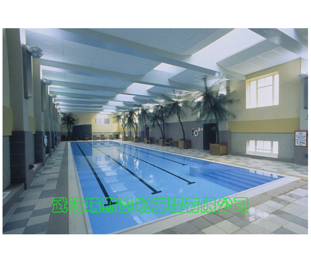 室内泳池工程做好卫生管理确保健康的游泳环境