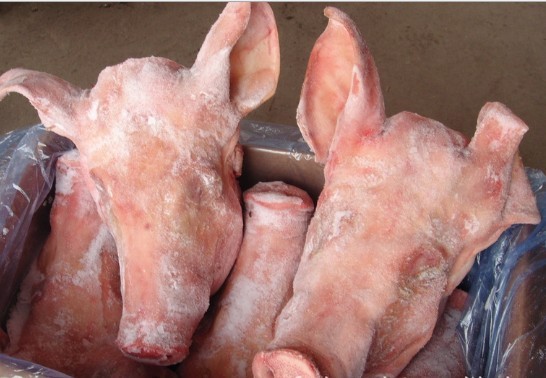 苏州供应德国202优质冷冻猪头市场批发价