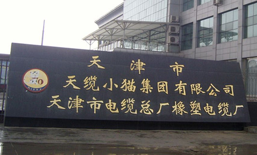 天津市橡塑电缆总厂