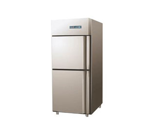 标准型二门立式冰箱