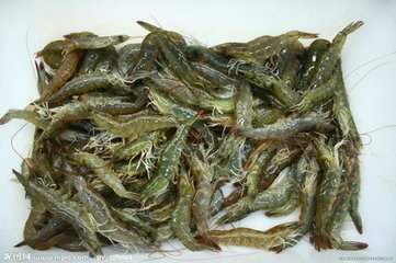 2016*九届中国北京国际水产食品及渔业博览会