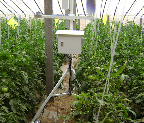 农业气象站RYQ-4型“农气通”可视化小气候观测仪