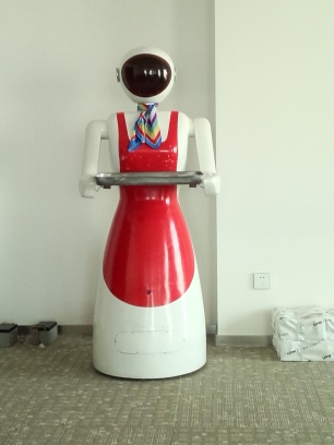 宁夏机器人-专业为您推荐|西安机器人厂家