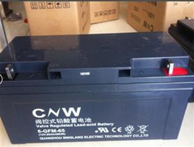 CNW蓄电池厂家