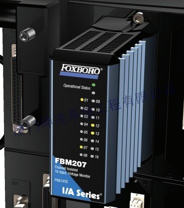 FOXBORO FBM207