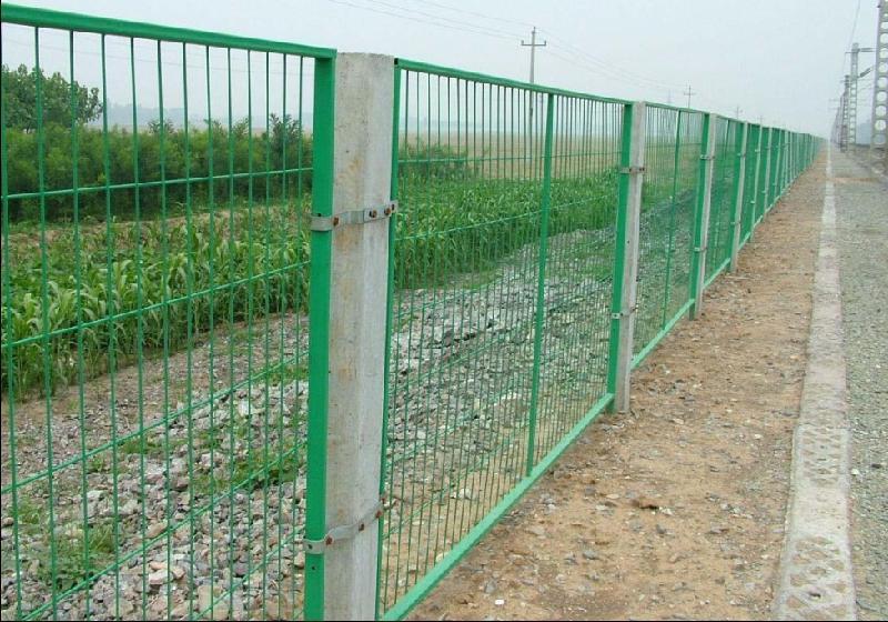 养鸡围栏网安装-安平县亚茂泰丝网厂