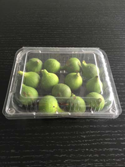 PET透明水果对折吸塑盒 水果包装盒 上海食品吸塑厂广舟