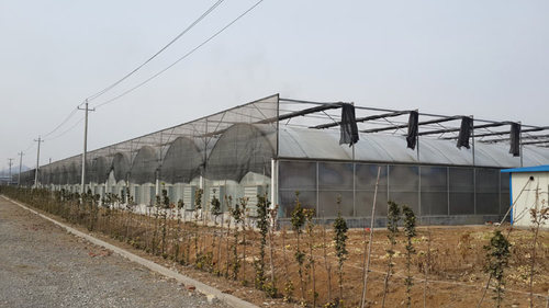 潍坊玻璃温室供应 建设