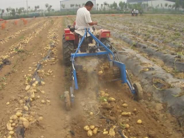 唯信标准农业设备优质土豆收获机