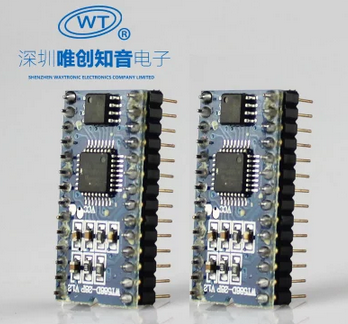 WT588DM02语音模块28P-Flash8/16/32M存储 DIP28语音芯片厂家直销