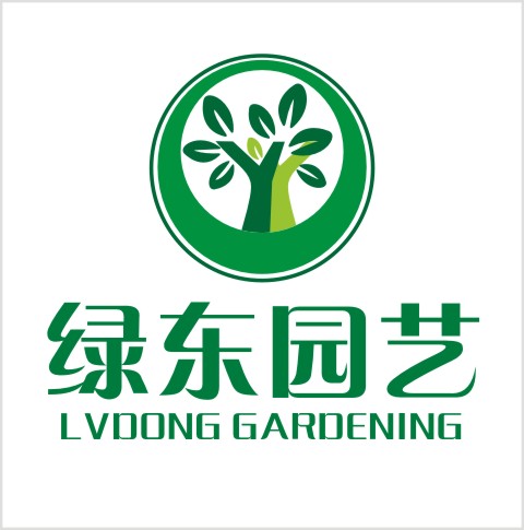 上海绿东园艺 专业植物绿化 办公室植物租赁 植物盆栽养护