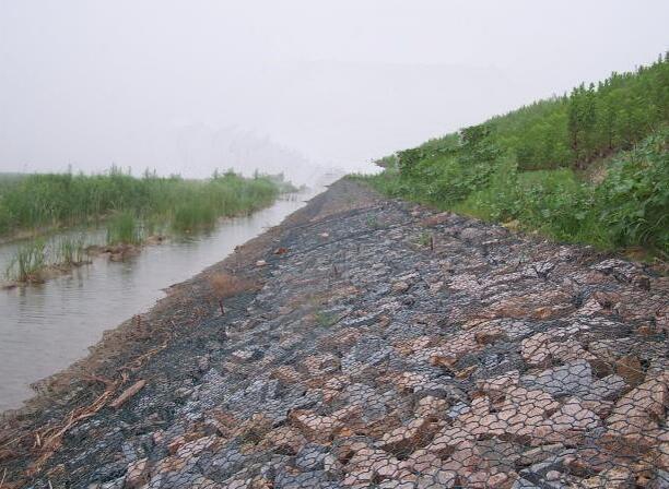 河道护坡绿滨垫 优质 防护工程石笼网 金照