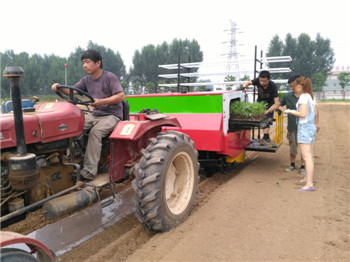 2ZBY-2A型自动化秧苗移栽机/机械手自动夹苗/操作简单/效率高/田耐尔