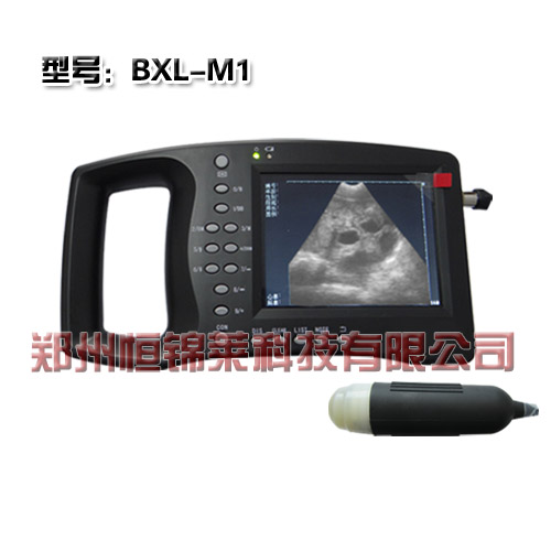便携式猪用B超测孕仪BXL-M1