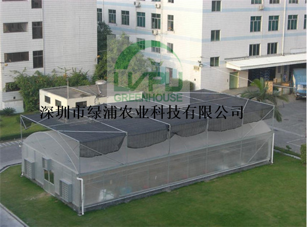 深圳绿浦单跨温室 科研、种植、育苗温室 智能温控大棚
