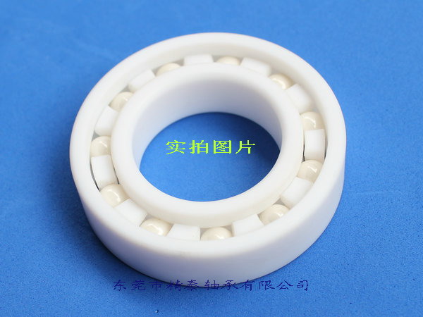 厂家供应PTFE耐腐蚀广州塑料轴承16007