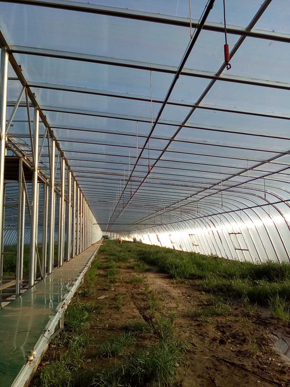 济宁湖蓝阳光板雨棚造价 济宁阳光板厂家