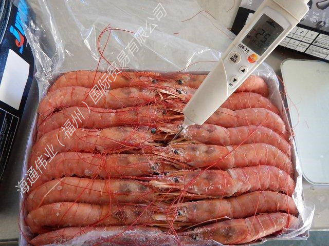 阿根廷红虾 一手货源 工厂直销 海外现货 船冻 L1