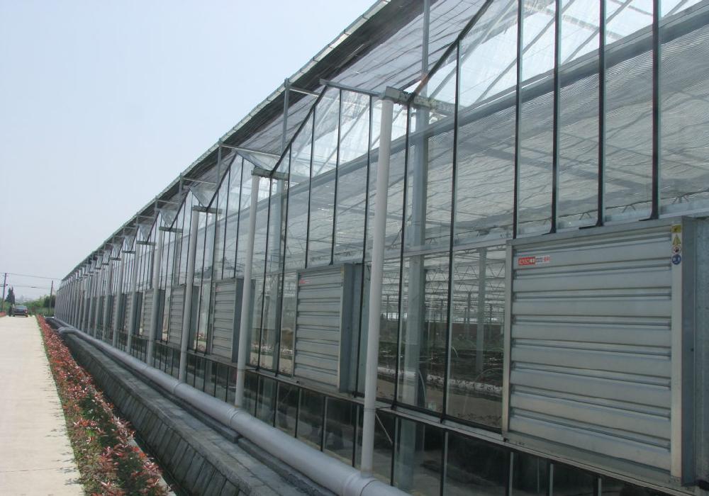 玻璃温室大棚设计、建造