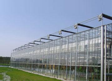 亚圣温室专业建造玻璃温室