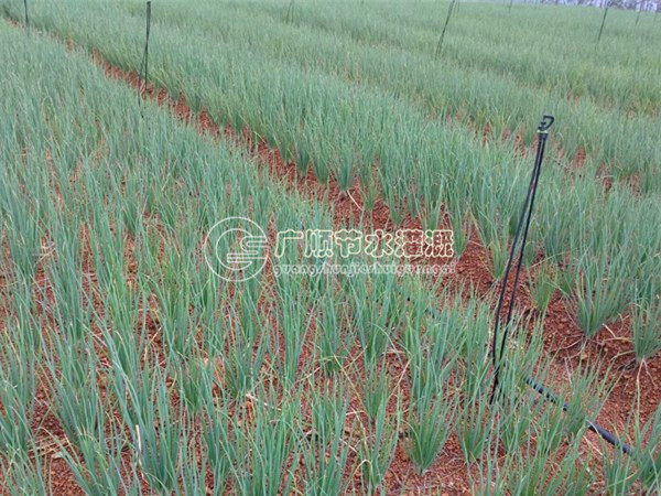 南宁广顺农业节水灌溉科技有限公司