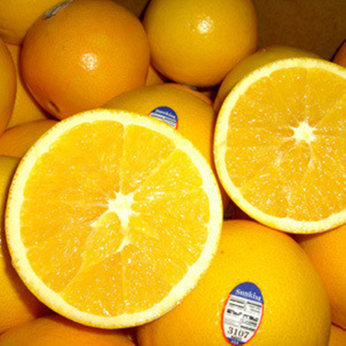 澳洲橙子进口报关代理服务