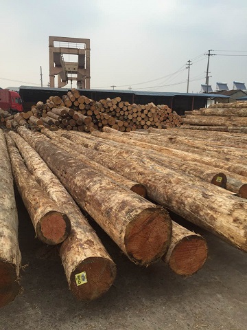 木材加工厂，专业生产加工，松原木