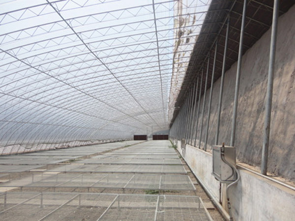 日光温室*大龙农业——新疆日光温室建设