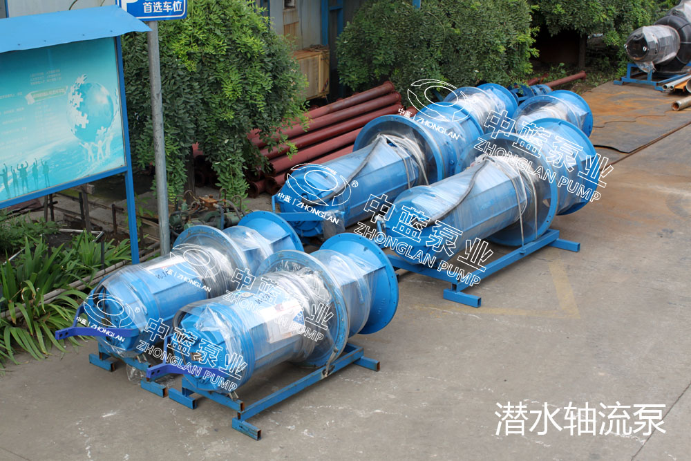 浮筒卧式潜水轴流泵报价 国内高质量轴流泵厂家