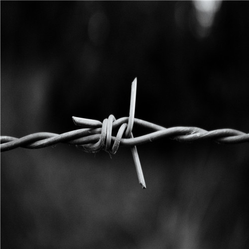 监狱围墙刺绳 刺绳隔离网 冷镀锌刺绳