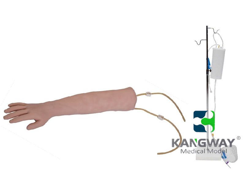 KDF/HS1高级静脉穿刺手臂训练模型