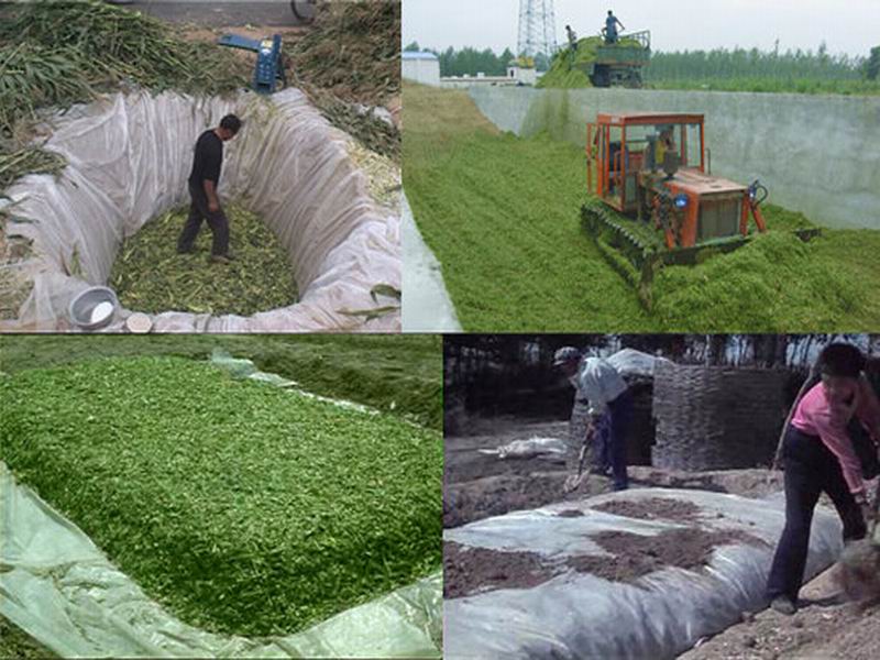 潍坊地区有品质的青储黑白膜在哪儿买 -青州农用黑白膜