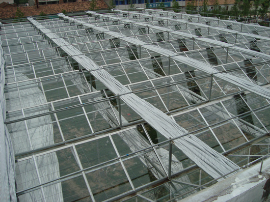 专业玻璃温室建设价格