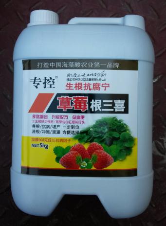 草莓根腐病沤根烂根死苗草莓根三喜一步到位杀菌剂好农药