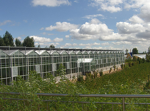 智能农业连栋温室大棚建造
