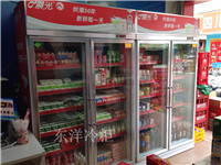 两门饮料冷藏展示柜|深圳冷柜厂家
