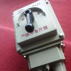 8077/1-11 20 防爆行程開關(guān)