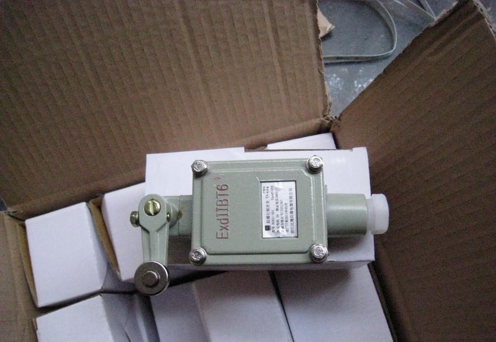 防爆型摇臂式行程开关