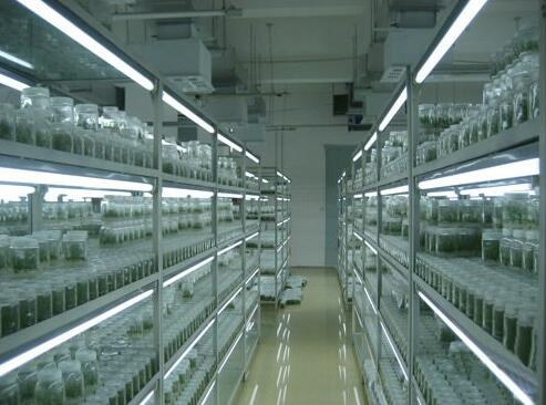 植物人工气候室、植物组培室、洁净实验室一体化设计与建设