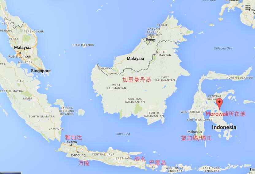 上海信柯国际epc项目海运服务新增印度尼西亚莫罗瓦利 Morowali）港