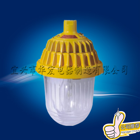 供应BPC8720防爆平台灯,BPC8730- BPC8720防爆平台灯,BPC8730防爆平台灯