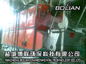 南通通州6吨燃煤锅炉改造生物质锅炉选博联 图