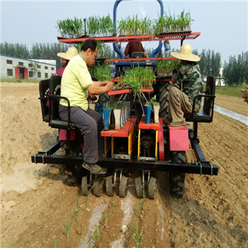 田耐尔3行玉米移栽机，保质保量，跟踪服务，高产高效率