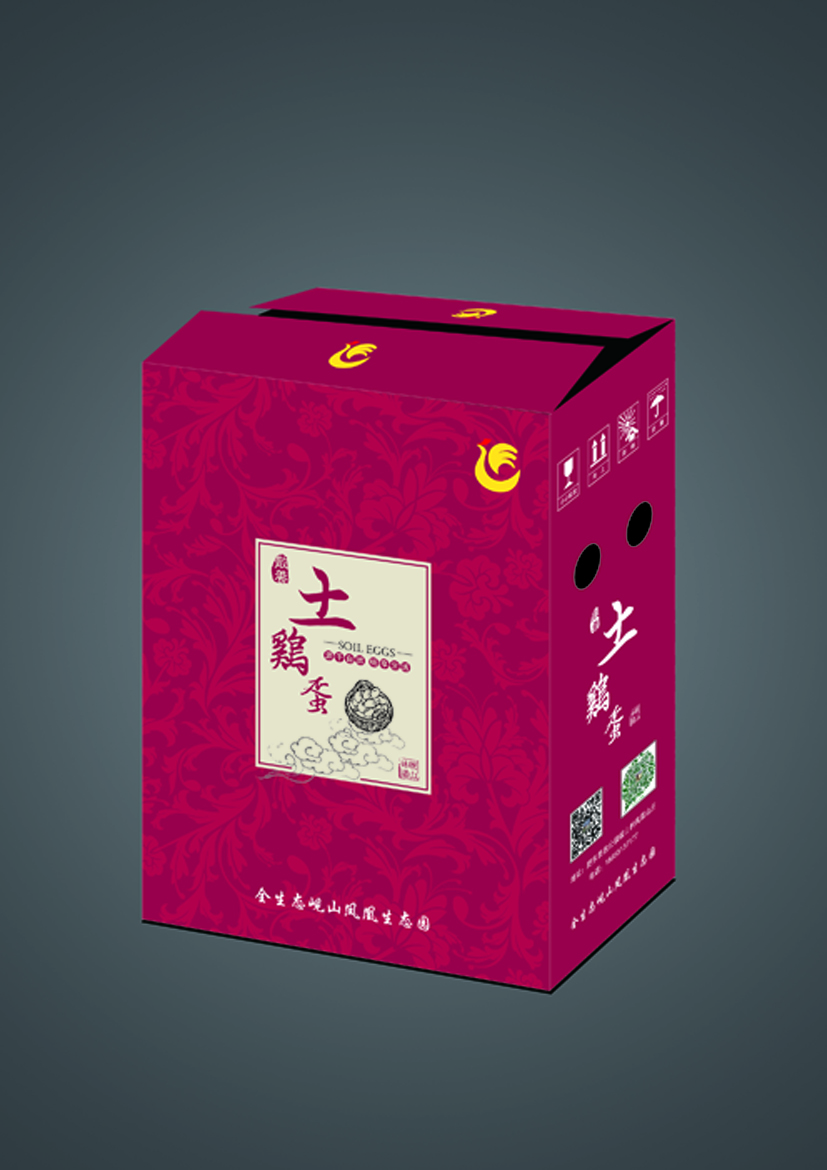 广印大同大不同特产包装盒设计案例