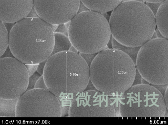 无孔5 低交联PS-DVB微球 聚合物微球 纳米微球