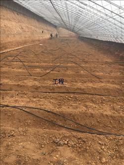 江西省萍乡市蔬菜橄榄滴灌带技术，滴灌管技术