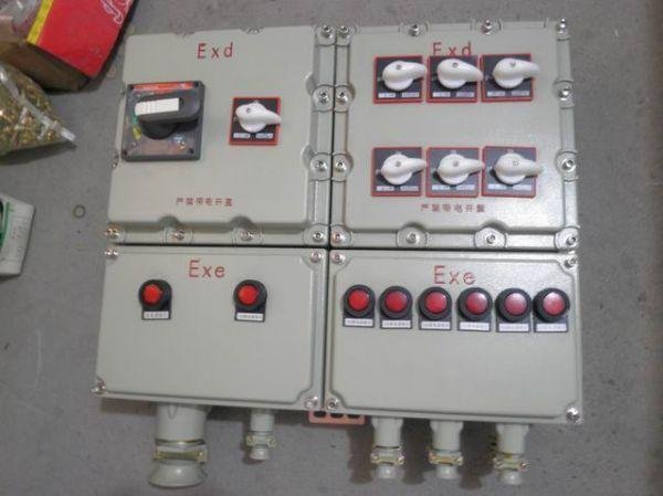 BXM D 系列防爆照明 动力）配电箱 带漏电保护）IIB/IIC，质量保证